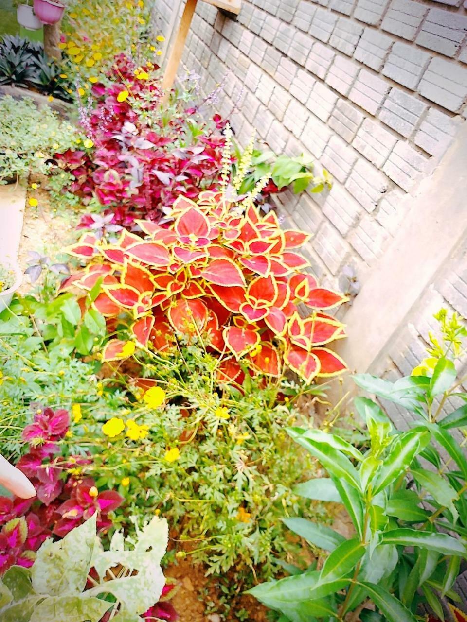 Hillside View Homestay 퐁냐 외부 사진